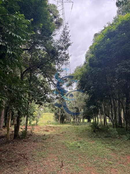 Terreno no Umbará: 11ª foto da galeria de imagens do imóvel