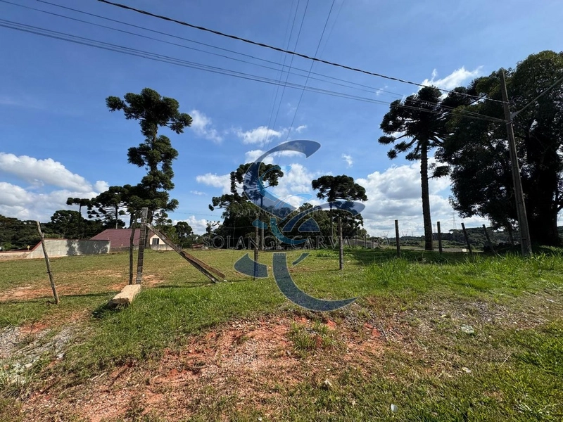 Terreno no Umbará: 6ª foto da galeria de imagens do imóvel