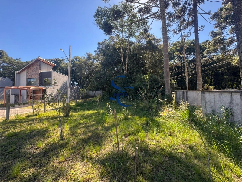 Terreno: 9ª foto da galeria de imagens do imóvel