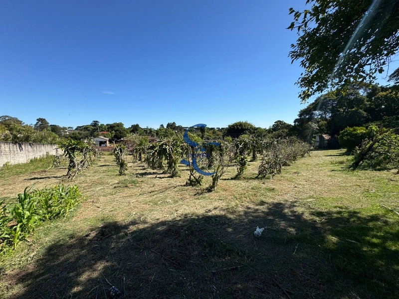 Terreno no Umbará: 14ª foto da galeria de imagens do imóvel