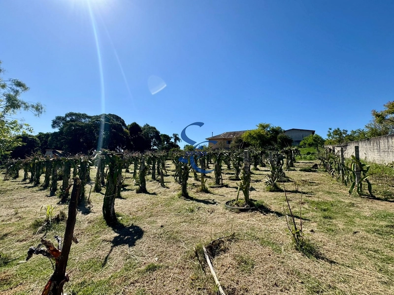 Terreno no Umbará: 13ª foto da galeria de imagens do imóvel