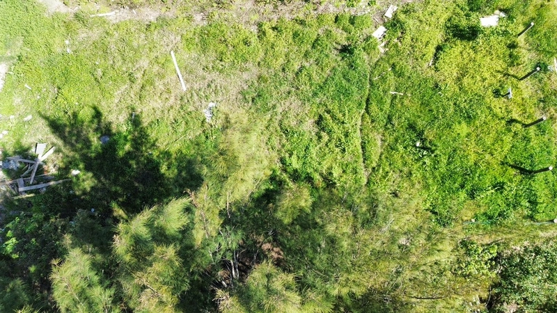 Terreno á Venda em Ótima Localização: 3ª foto da galeria de imagens do imóvel