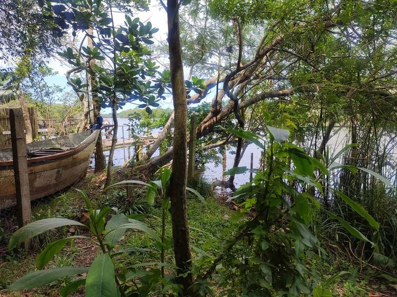 Propriedade na beira do Rio: 18ª foto da galeria de imagens do imóvel
