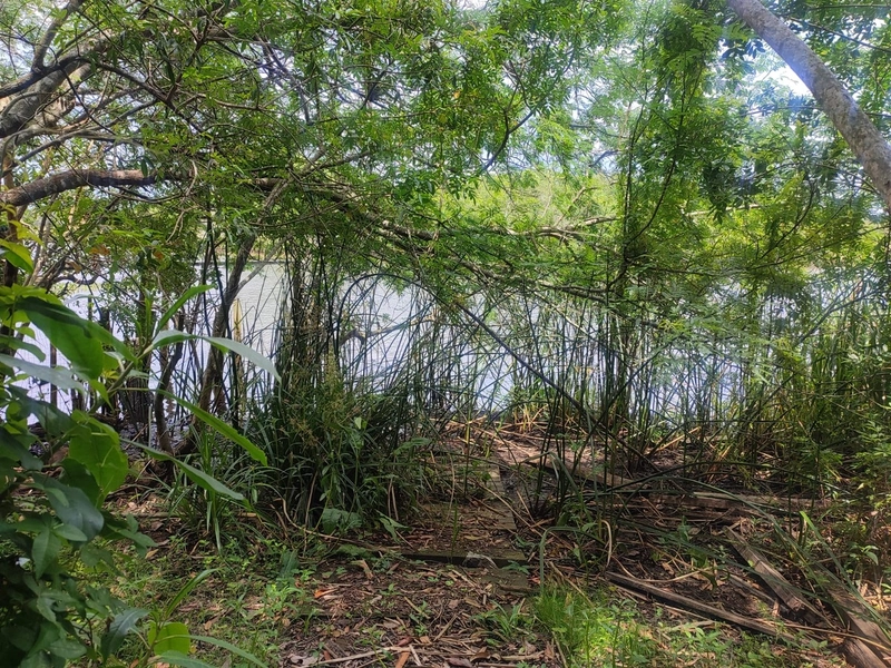 Propriedade na beira do Rio: 19ª foto da galeria de imagens do imóvel