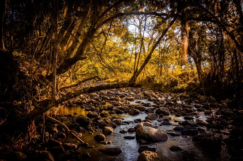 Sítio em Fernando Ferrari: 12ª foto da galeria de imagens do imóvel