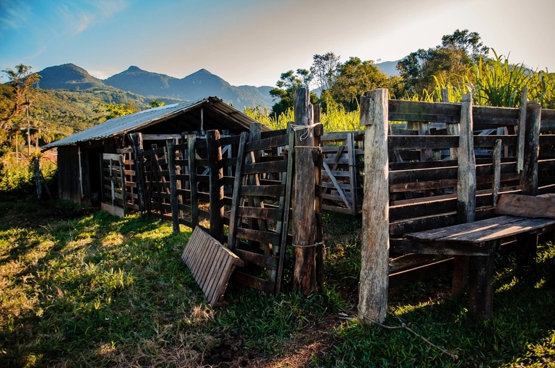 Sítio em Fernando Ferrari: 6ª foto da galeria de imagens do imóvel