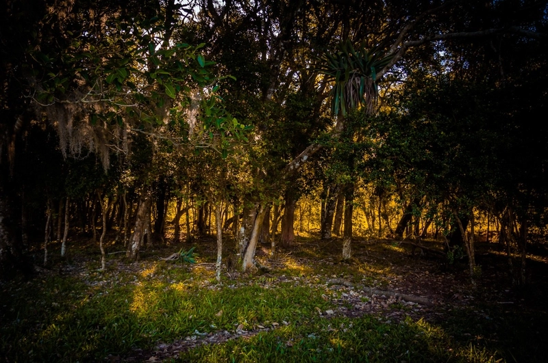 Sítio em Fernando Ferrari: 5ª foto da galeria de imagens do imóvel
