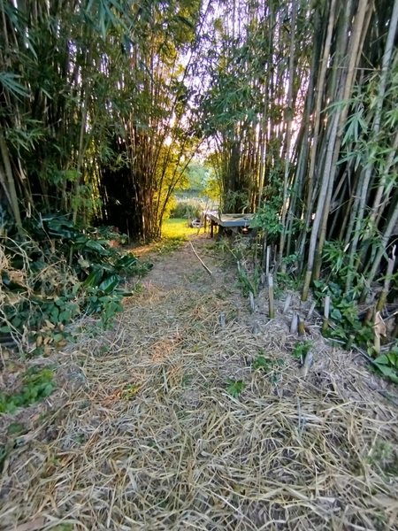 Excelente residência na Costa do Mampituba: 30ª foto da galeria de imagens do imóvel