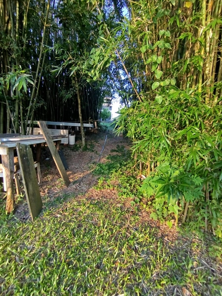 Excelente residência na Costa do Mampituba: 38ª foto da galeria de imagens do imóvel