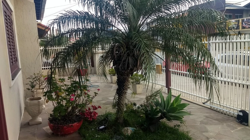 LINDA CASA COM SUÍTE NA ZONA NOVA EM CAPÃO DA CANOA!: 4ª foto da galeria de imagens do imóvel