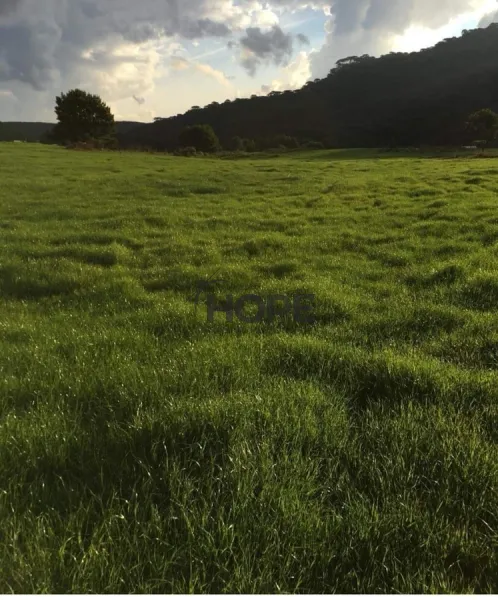 FAZENDA COM 161 HECTARES PRÓXIMO AOS CANIOS DE CAMBARÁ DO SUL!: 17ª foto da galeria de imagens do imóvel