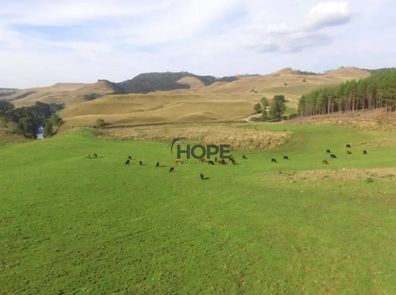 FAZENDA COM 161 HECTARES PRÓXIMO AOS CANIOS DE CAMBARÁ DO SUL!: 3ª foto da galeria de imagens do imóvel