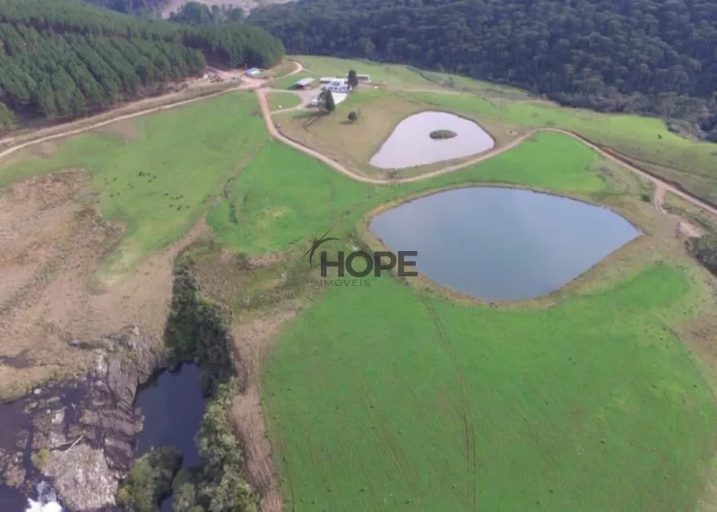 FAZENDA COM 161 HECTARES PRÓXIMO AOS CANIOS DE CAMBARÁ DO SUL!: 9ª foto da galeria de imagens do imóvel