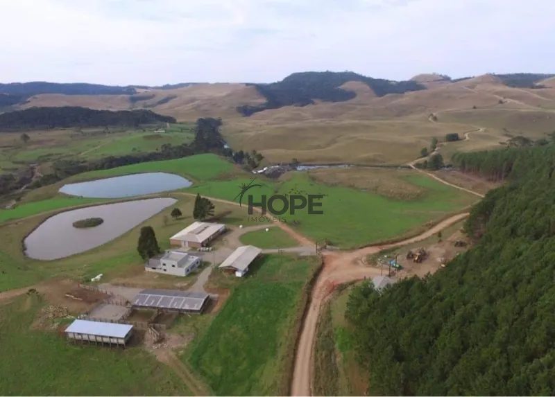 FAZENDA COM 161 HECTARES PRÓXIMO AOS CANIOS DE CAMBARÁ DO SUL!: 22ª foto da galeria de imagens do imóvel