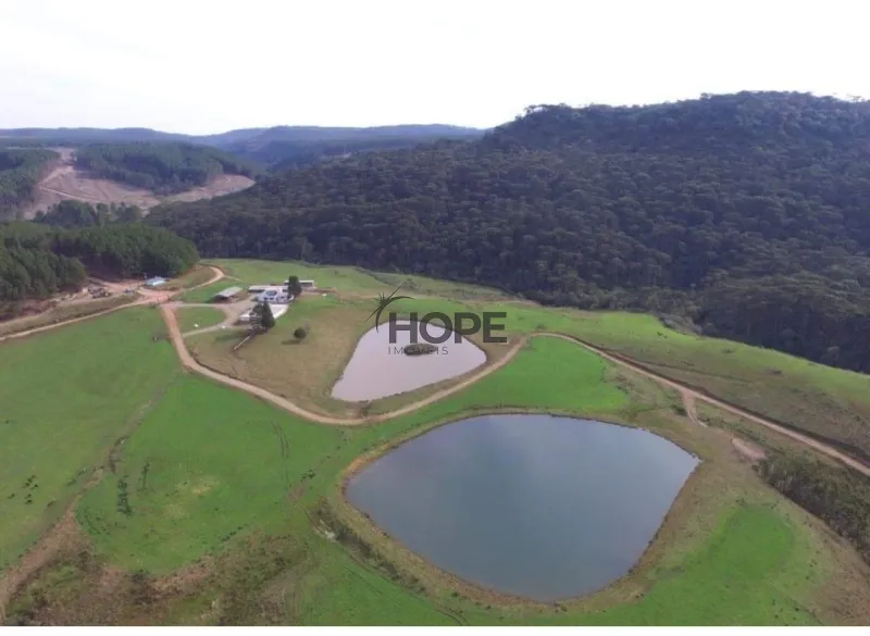 FAZENDA COM 161 HECTARES PRÓXIMO AOS CANIOS DE CAMBARÁ DO SUL!: 10ª foto da galeria de imagens do imóvel