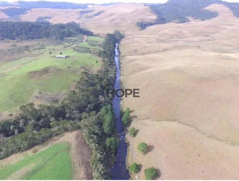 FAZENDA COM 161 HECTARES PRÓXIMO AOS CANIOS DE CAMBARÁ DO SUL!: 23ª foto da galeria de imagens do imóvel
