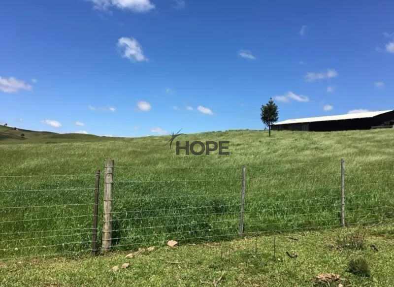 FAZENDA COM 161 HECTARES PRÓXIMO AOS CANIOS DE CAMBARÁ DO SUL!: 12ª foto da galeria de imagens do imóvel