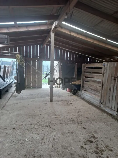 FAZENDA COM 161 HECTARES PRÓXIMO AOS CANIOS DE CAMBARÁ DO SUL!: 11ª foto da galeria de imagens do imóvel