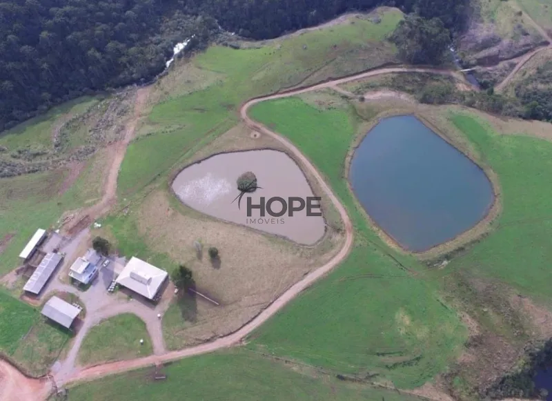 FAZENDA COM 161 HECTARES PRÓXIMO AOS CANIOS DE CAMBARÁ DO SUL!: 19ª foto da galeria de imagens do imóvel