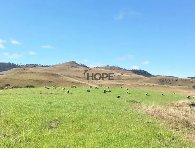 FAZENDA COM 161 HECTARES PRÓXIMO AOS CANIOS DE CAMBARÁ DO SUL!: 13ª foto da galeria de imagens do imóvel