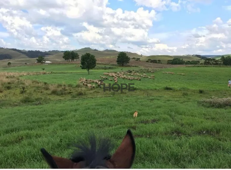 FAZENDA COM 161 HECTARES PRÓXIMO AOS CANIOS DE CAMBARÁ DO SUL!: 18ª foto da galeria de imagens do imóvel