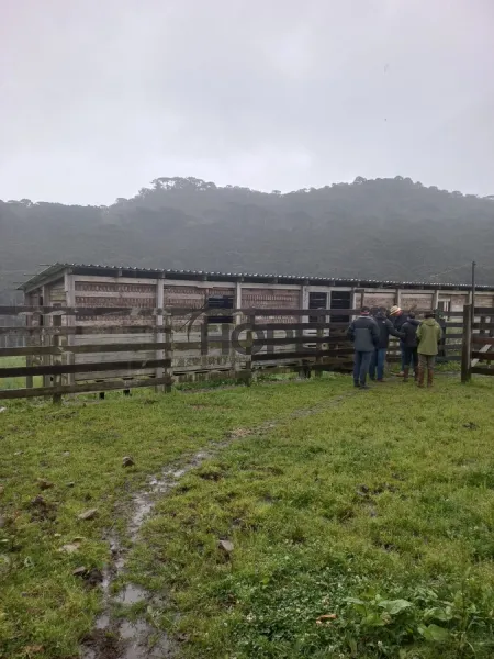 FAZENDA COM 161 HECTARES PRÓXIMO AOS CANIOS DE CAMBARÁ DO SUL!: 25ª foto da galeria de imagens do imóvel