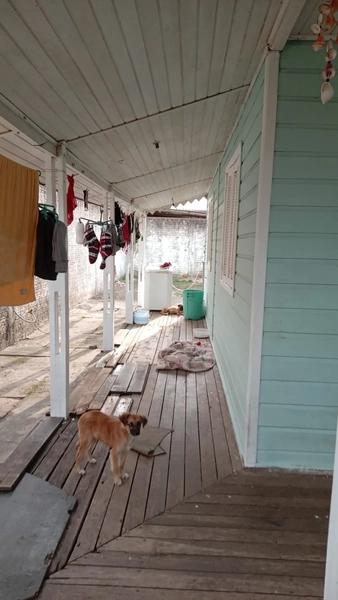 casa 2 dormitórios na zona nova: 11ª foto da galeria de imagens do imóvel