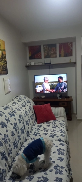CASA COM 2 QUARTOS E UMA SUÍTE EM CAPÃO DA CANOA-RS: 14ª foto da galeria de imagens do imóvel
