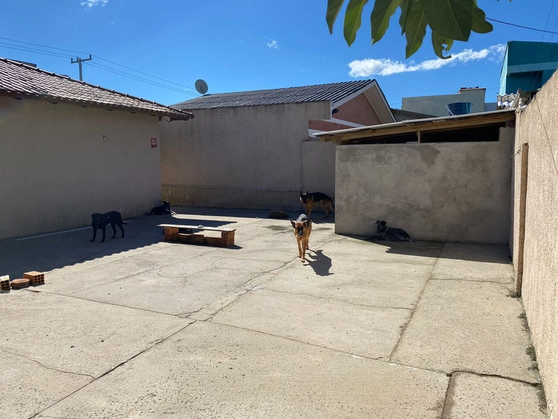LINDA CASA À VENDA EM CAPÃO NOVO!: 8ª foto da galeria de imagens do imóvel