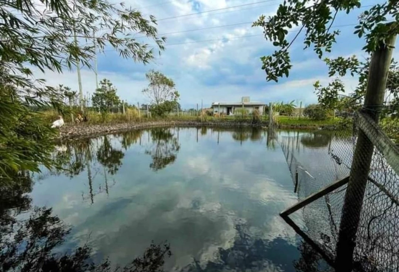 Linda chácara à venda  na tapera - Capão da Canoa!: 8ª foto da galeria de imagens do imóvel