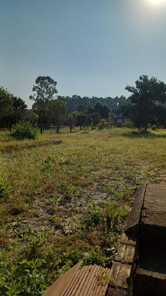 SÍTIO EM CAPÃO DA CANOA/ CORNÉLIO: 15ª foto da galeria de imagens do imóvel