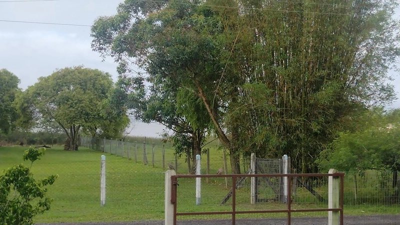 SÍTIO EM CAPÃO DA CANOA/ CORNÉLIO: 4ª foto da galeria de imagens do imóvel