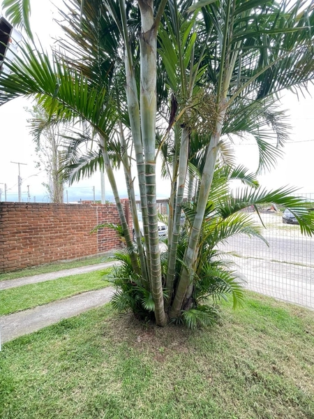 Casa pronta para morar e pode ser financiada: 7ª foto da galeria de imagens do imóvel