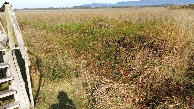 Maravilhoso sítio no Palmital, 3 hectares!: 4ª foto da galeria de imagens do imóvel