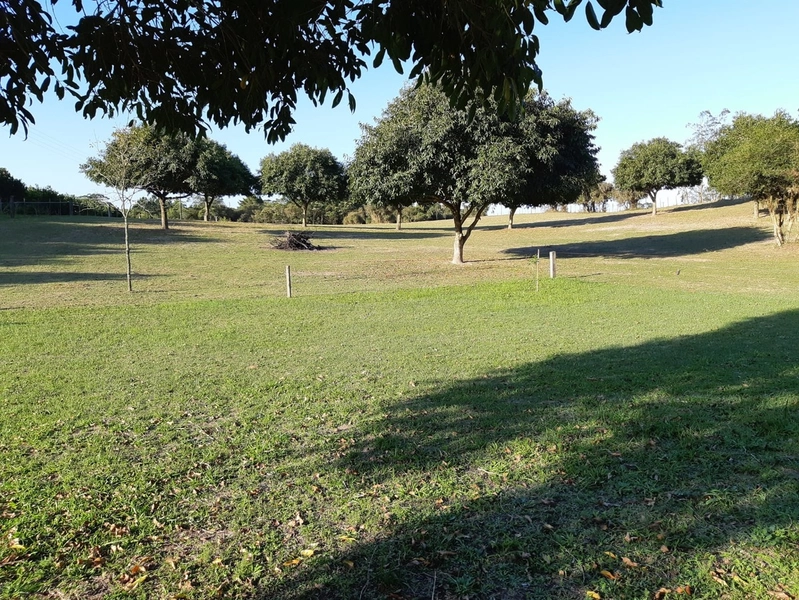 Maravilhoso sítio no Palmital, 3 hectares!: 12ª foto da galeria de imagens do imóvel