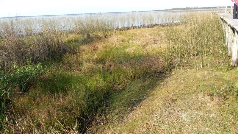 Maravilhoso sítio no Palmital, 3 hectares!: 3ª foto da galeria de imagens do imóvel