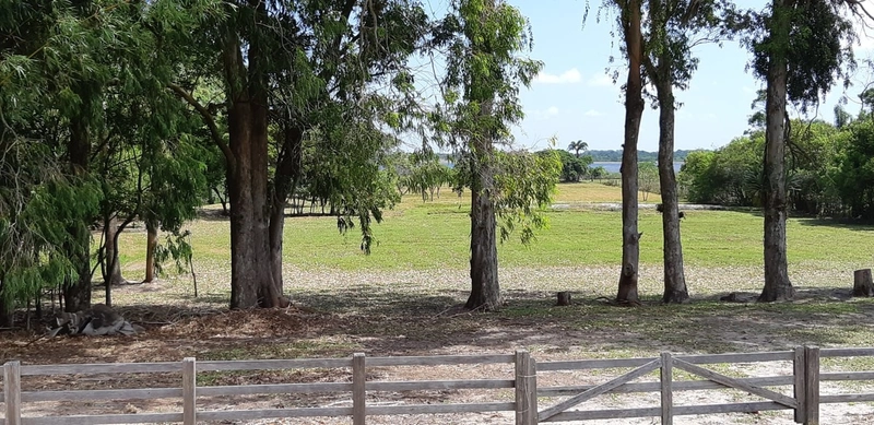 Maravilhoso sítio no Palmital, 3 hectares!: 5ª foto da galeria de imagens do imóvel