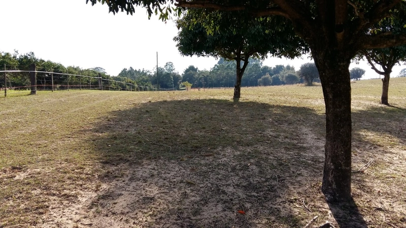 Maravilhoso sítio no Palmital, 3 hectares!: 2ª foto da galeria de imagens do imóvel