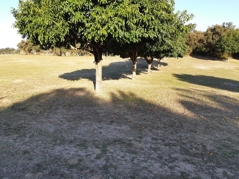 Maravilhoso sítio no Palmital, 3 hectares!: 15ª foto da galeria de imagens do imóvel