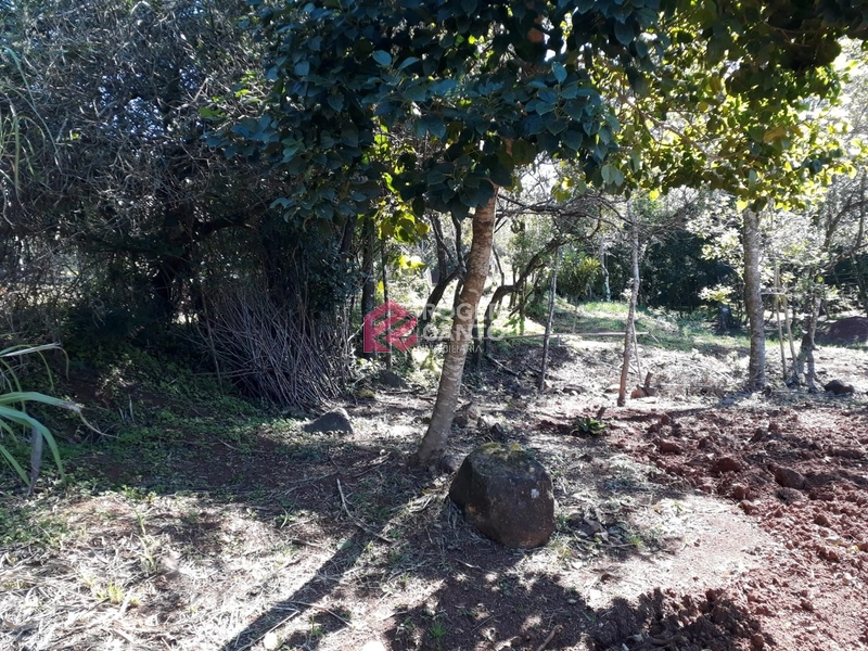 : 7ª foto da galeria de imagens do imóvel