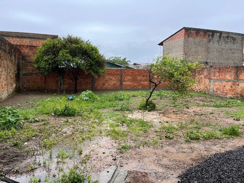 : 11ª foto da galeria de imagens do imóvel