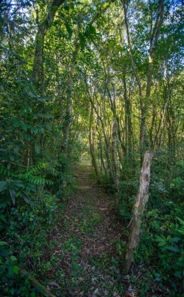 Área com pisicina natural na Borússia: 11ª foto da galeria de imagens do imóvel