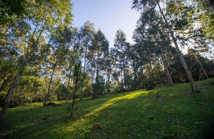 Área com pisicina natural na Borússia: 15ª foto da galeria de imagens do imóvel