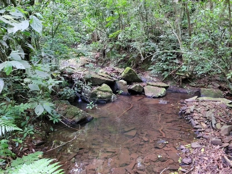 Área com pisicina natural na Borússia: 10ª foto da galeria de imagens do imóvel