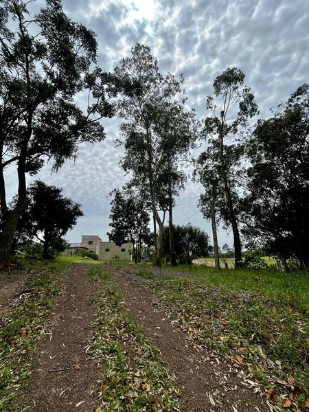 : 19ª foto da galeria de imagens do imóvel
