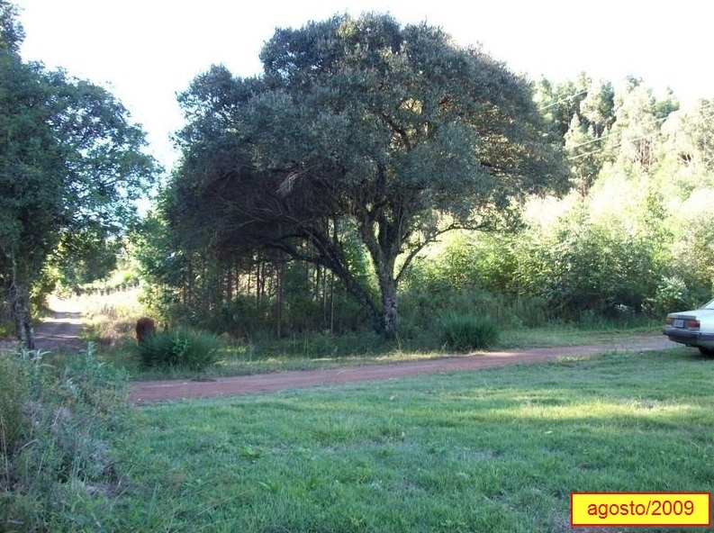 : 9ª foto da galeria de imagens do imóvel