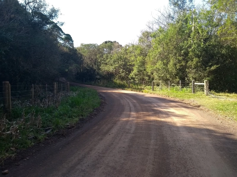 Excelente oportunidade no Morro da Borussia!: 11ª foto da galeria de imagens do imóvel