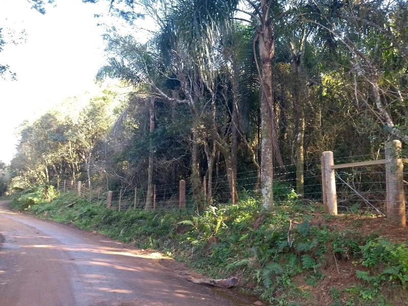 Excelente oportunidade no Morro da Borussia!: 3ª foto da galeria de imagens do imóvel