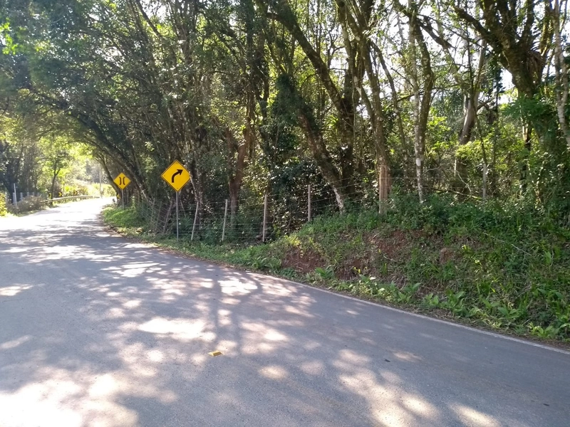 Excelente oportunidade no Morro da Borussia!: 5ª foto da galeria de imagens do imóvel