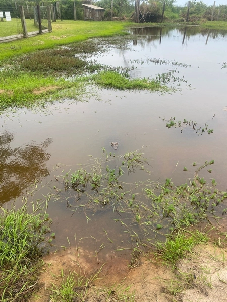Sobrado alto padrão no Condomínio Marítimo em Tramandaí: 38ª foto da galeria de imagens do imóvel
